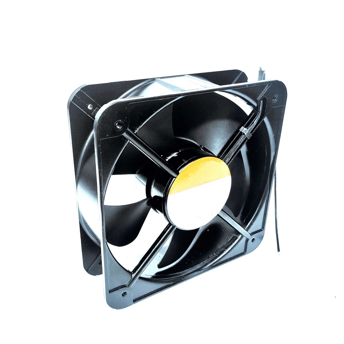 Fan